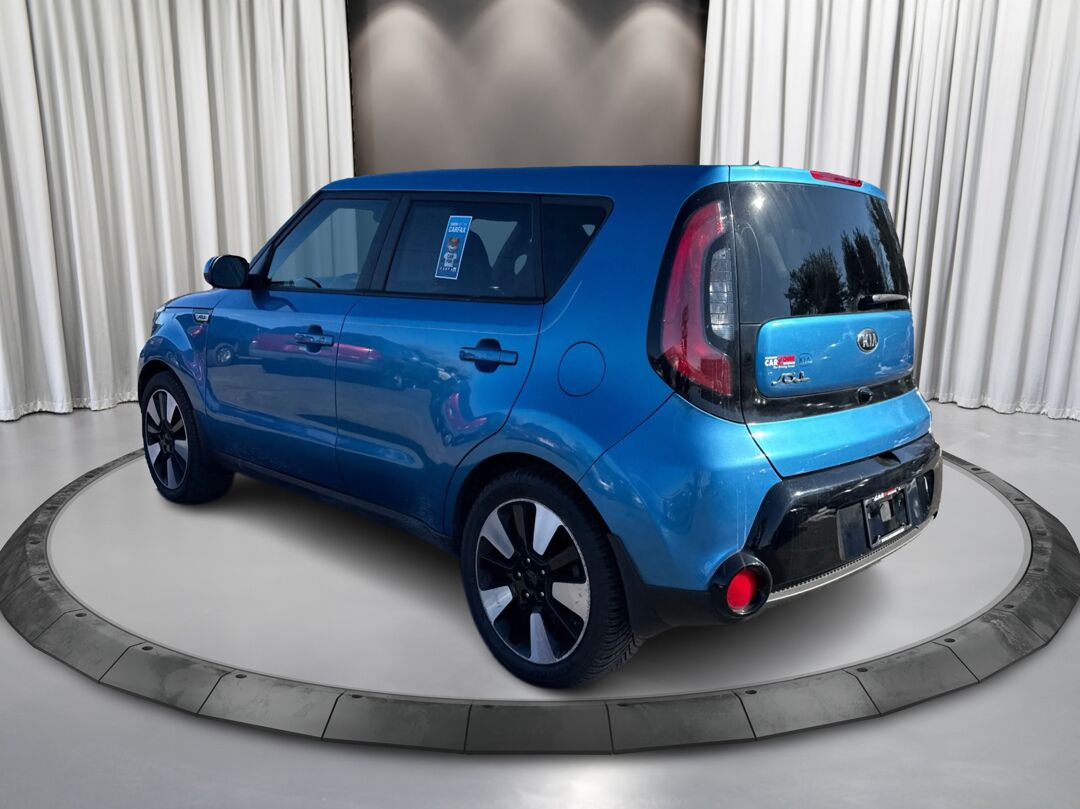 1770996610137_edited_rez4320_-OlMagjrBw-AmbZqbcra_6