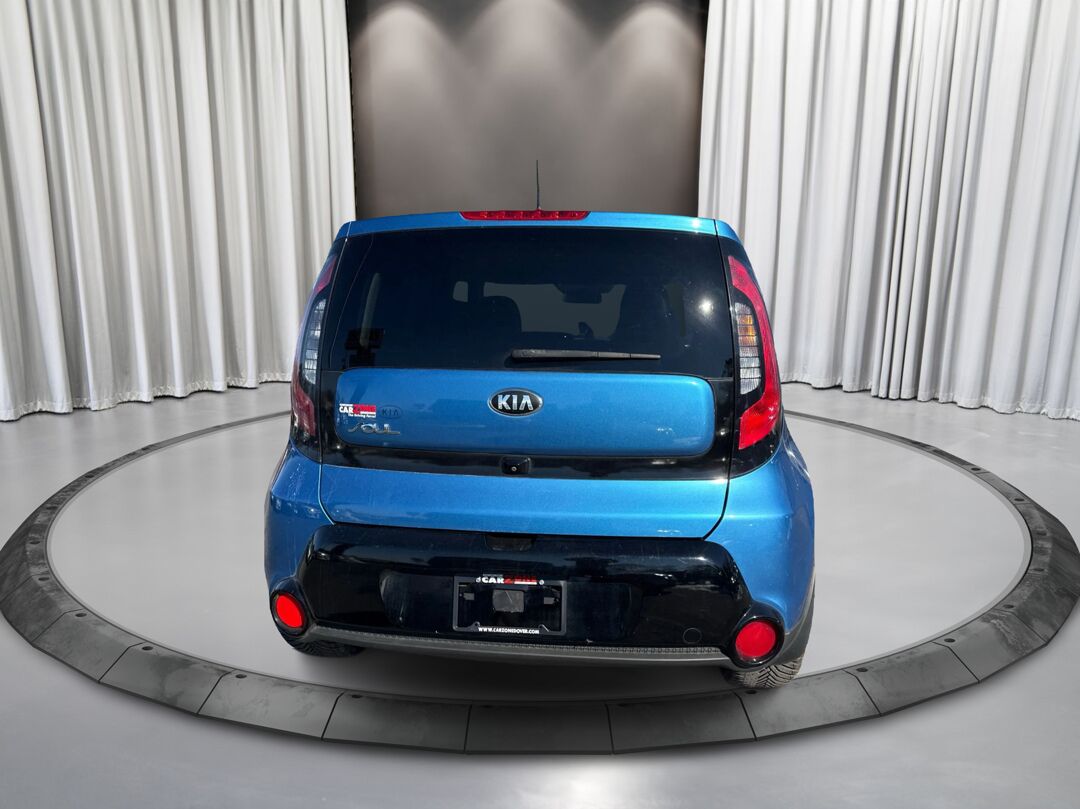 1770996630865_edited_rez4320_-OlMagjrBw-AmbZqbcra_4