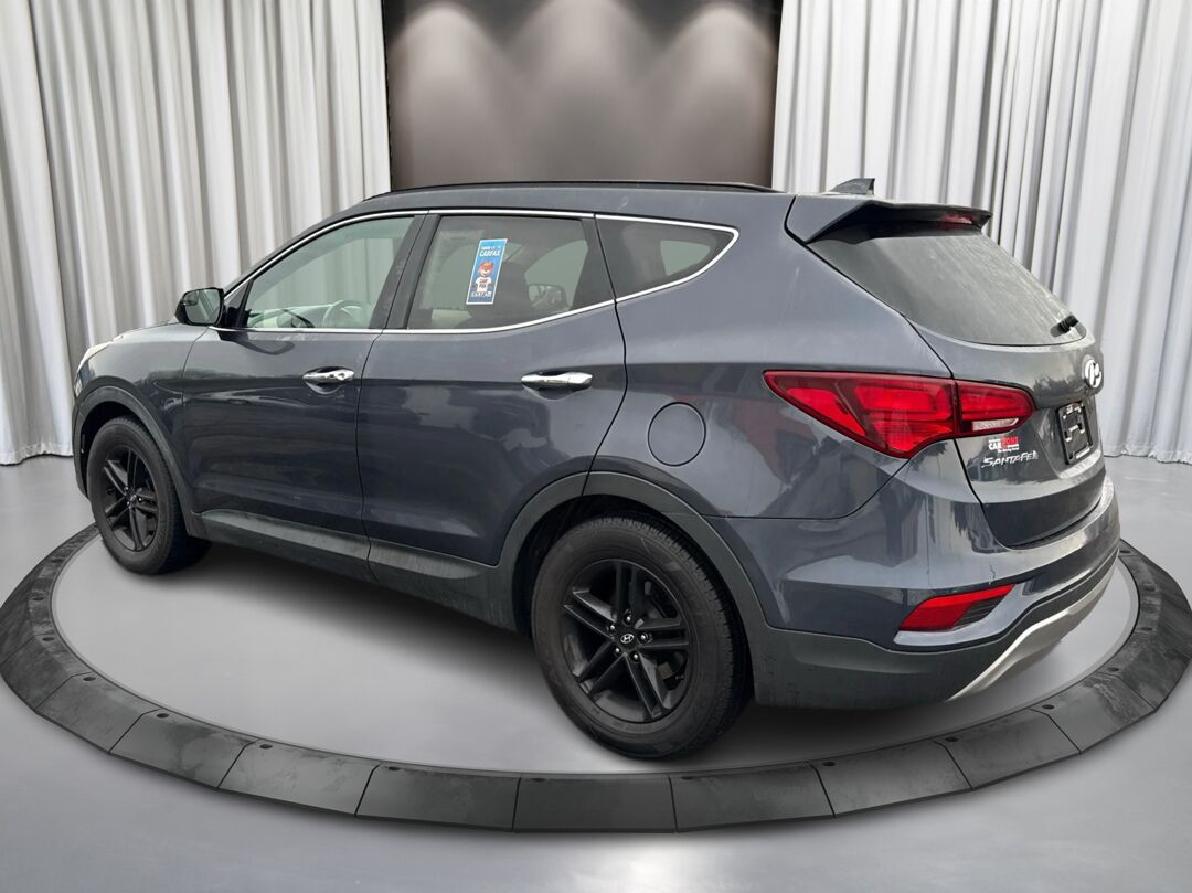 1771424708668_edited_rez4320_-Oll77hJNDm9tqYPZAhj_6