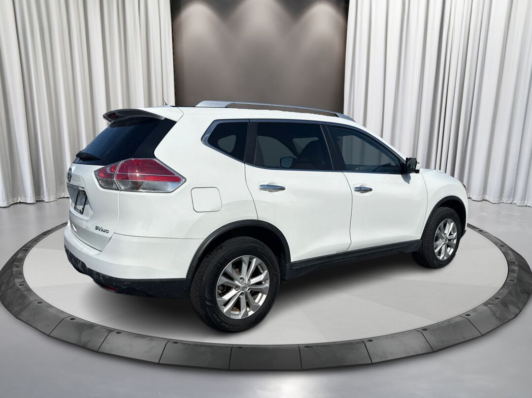 1772210426398_edited_rez4320_-OmUxM-kcFzkhj7ROHc4_2