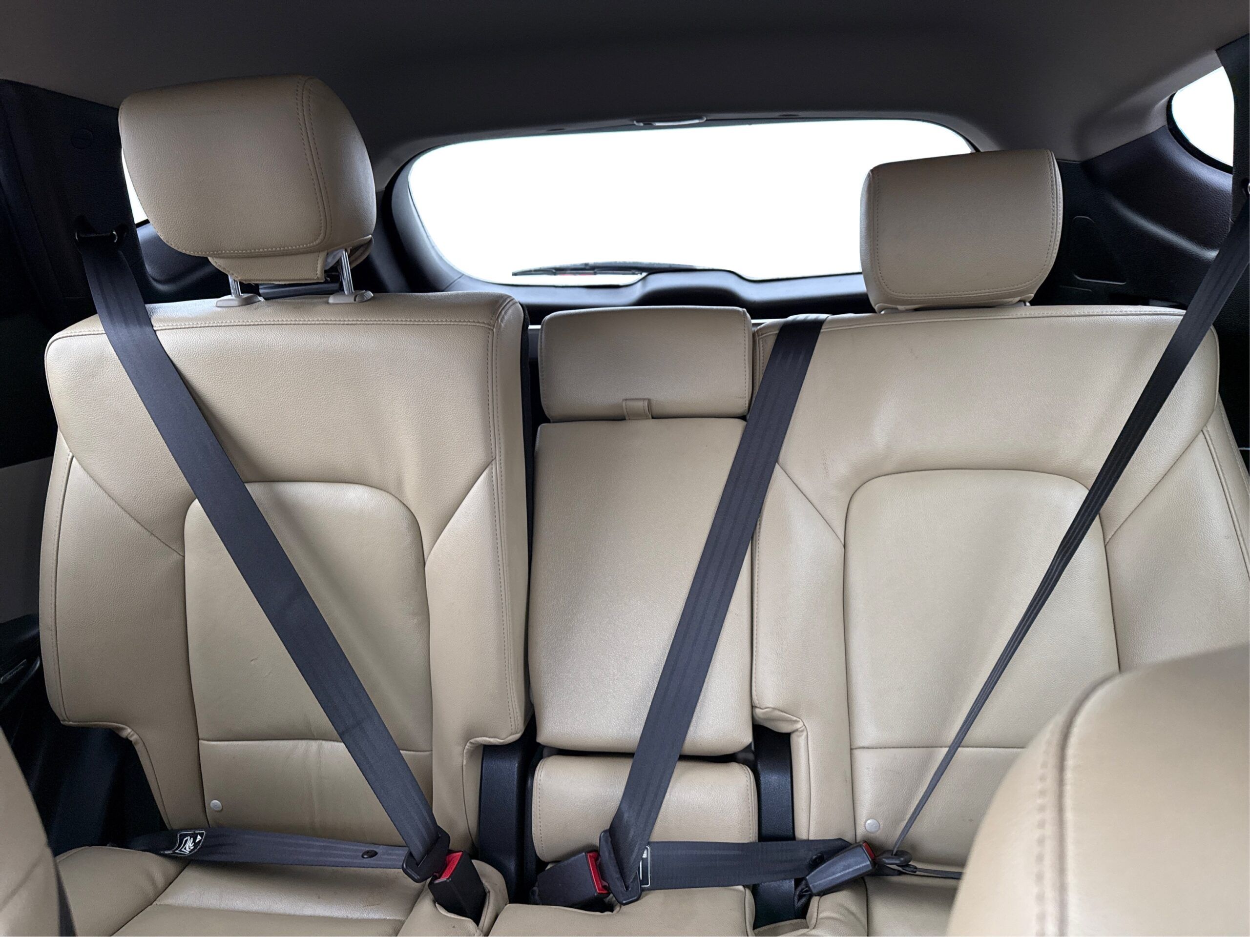 2_white_1771424484_in_001_2