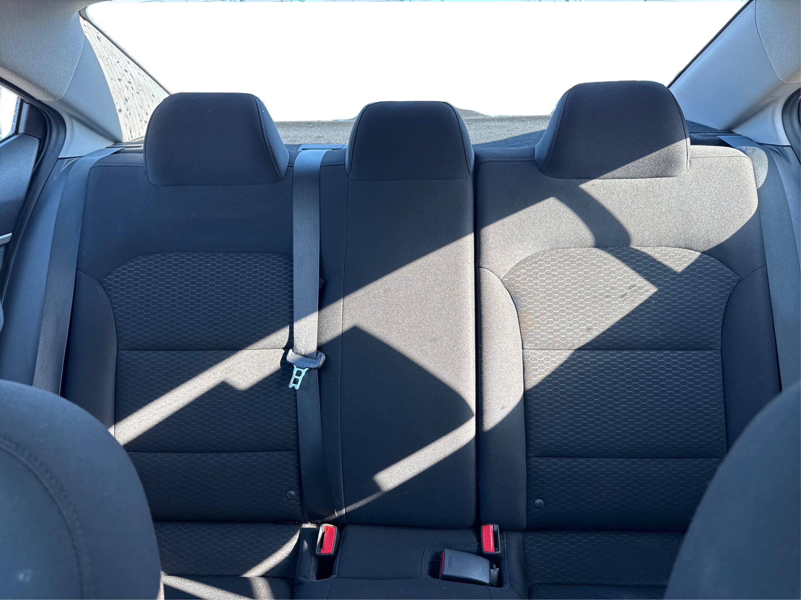 2_white_1773410139_in_001_2