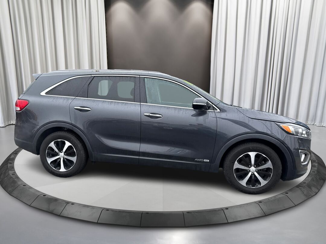 1775225502138_edited_rez4320_-OpIewJ5f5ZfSLue5FXE_0