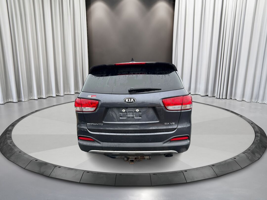 1775225515561_edited_rez4320_-OpIewJ5f5ZfSLue5FXE_4