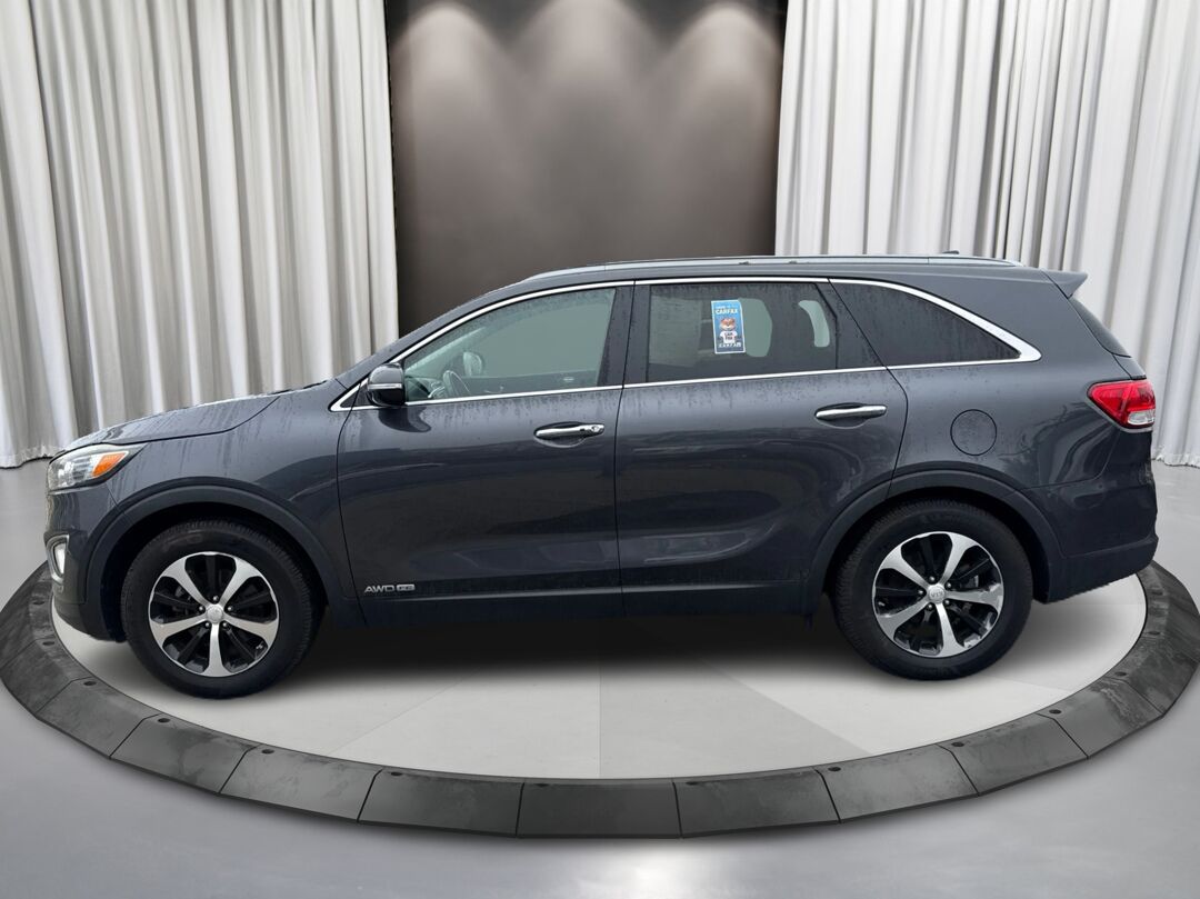 1775225525275_edited_rez4320_-OpIewJ5f5ZfSLue5FXE_8